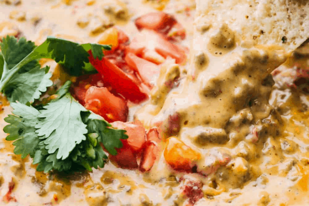 Amazing Rotel Dip {Only 4 Ingredients!}