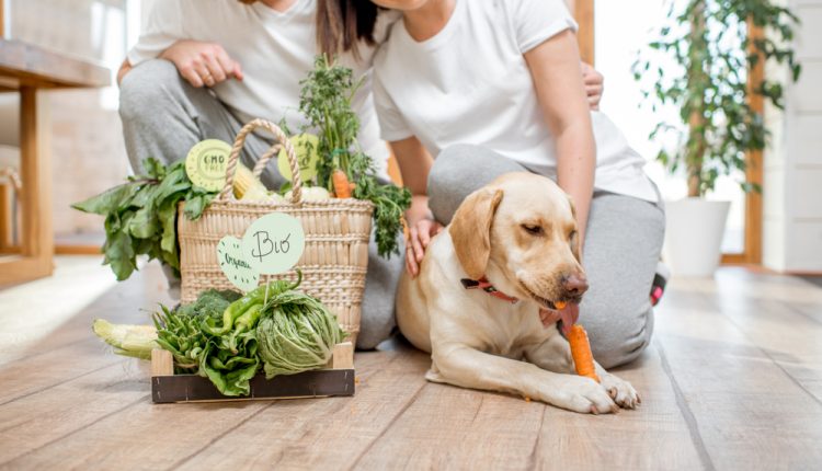 Young,Lovely,Couple,Sitting,Together,With,Their,Dog,And,Fresh