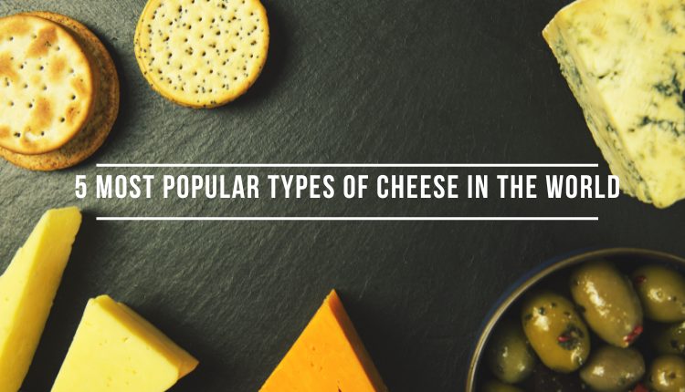 5 Most Popular Types of Cheese in the World