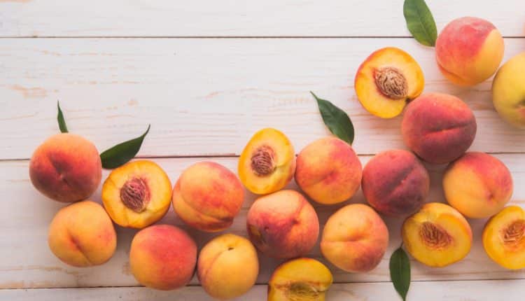 Did you know that peaches have amazing health benefits? They not only taste great, but they can also be used as natural remedies for many conditions. Peaches are rich in vitamins and minerals such as vitamin C. They are also a great source of trace minerals such as manganese, copper, and potassium. Even more than this, peaches contain phytonutrients which protect you from free radicals and diseases. Read on to learn more about the amazing health benefits of peaches Skin Care The skin is your body's largest organ and is one if the first places in your body that shows signs of ageing. To maintain a healthy skin, it is essential to have a well-balanced diet. A diet rich in fruits and vegetables can keep your skin radiant and hydrated. Peach is rich in vitamins A and C which are antioxidants that help protect the skin from harmful UV Rays. They also improve blood flow and promote the growth of healthy skin cells. Peaches are also a great source of potassium which helps balance the sebum (the oily secretion that keeps the skin hydrated). Potassium is also essential for preventing acne which is why it is given to some acne patients. Heart and Blood Health Peaches are one of those fruits that are great for the heart and blood health. They are a great source of potassium and have a low sodium content which helps prevent high blood pressure. Potassium also prevents the build up of uric acid in the body which is responsible for gout. Potassium is also essential for the normal function of the nervous system. It is known to help prevent strokes and atrophy caused by a lack of blood supply to the brain. Vision and Hearing Benefits The high levels of antioxidants present in peaches help protect your eyes and ears from harmful free radicals. Vitamin A is also essential for good vision. It is known to prevent macular degeneration and early cataracts. Vitamin A is also used to regulate the growth of epithelial cells in the eyes. Potassium is another mineral found in peaches that is beneficial for your hearing. The high levels of potassium in peaches prevent the build up of excess fluids in the ears known as oedema. Potaches are also a great source of carotenoids which help prevent macular degeneration and help maintain your eyes’ eyes’ health. Immune System Support Potassium is essential for the function of the immune system. It is also known to regulate blood pressure and prevent gout which is why it is used in the treatment of high blood pressure. Peaches are a great source of vitamin C which is known to be an effective anti-inflammatory agent. Vitamin C is also known to protect the immune system from oxidative damage caused by free radicals. Diabetes Prevention Diabetes is a disease caused by the build up of excessive uric acid in the blood. Potassium is a great treatment for this condition. It neutralises the excess uric acid in the blood and prevents gout. Peaches are a great source of potassium and very low in sodium content which prevents high blood pressure and plays an important role in the treatment of diabetes. Besides these, potassium is essential for the normal function of the nerves and muscles, prevents heart diseases and plays an important role in maintaining blood pressure. Other Health Benefits Apart from being great for your health, peaches are also a great source of energy. They contain a great amount of carbohydrate which helps you power through your day. Peaches are also rich in fibre which helps in the digestion of food and prevents constipation. They are low in calories and contain almost no fat which makes them great for weight loss. As we know, peaches are a delicious fruit rich in vitamins and minerals. They can be used as a natural remedy for many health conditions. These include heart health, good vision and hearing, diabetes prevention, and much more. So what are you waiting for? Start consuming peaches
