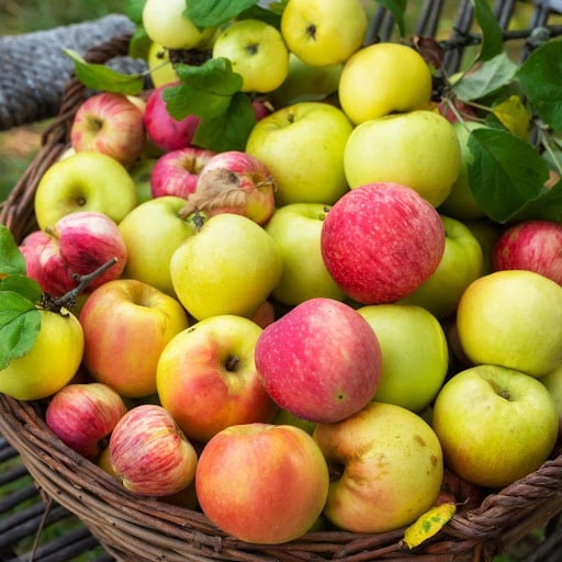 Things You Probably Didn’t Know About Apples