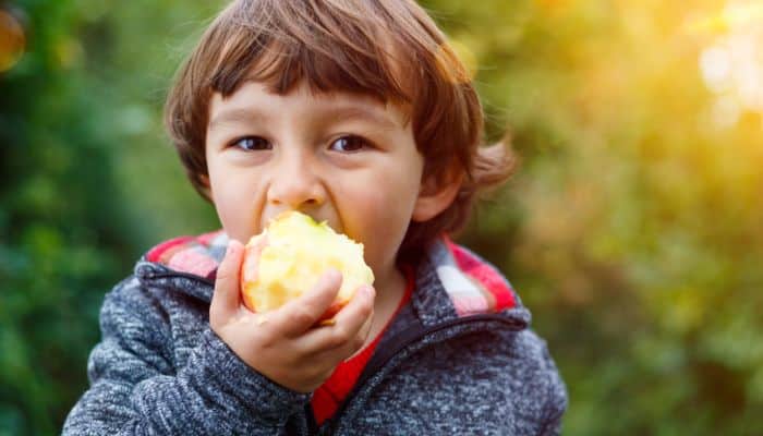 Healthy Fall Recipes for Kids
