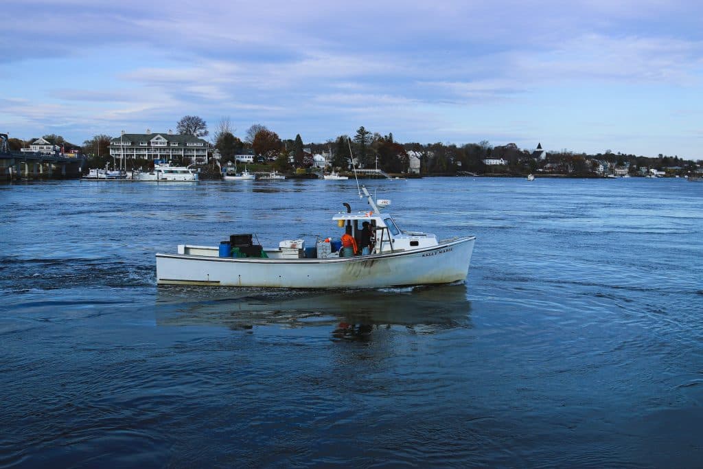 Watching a fishing boat at Portsmouth